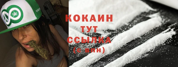 прущие грибы Кулебаки