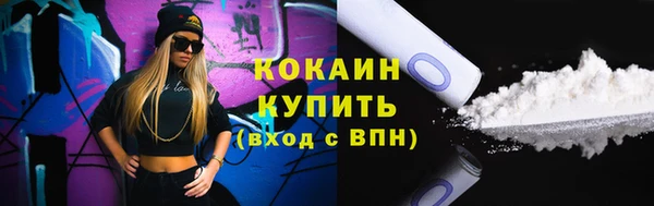 шишки Кукмор