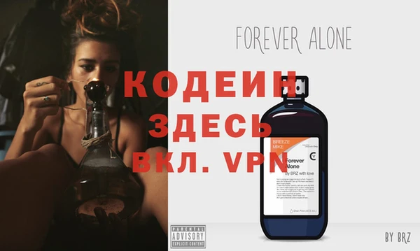 прущие грибы Кулебаки