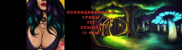 прущие грибы Кулебаки
