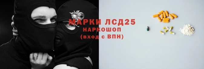 шишки Кукмор