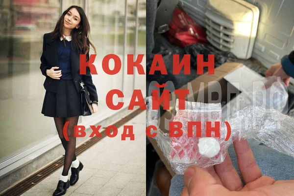 прущие грибы Кулебаки