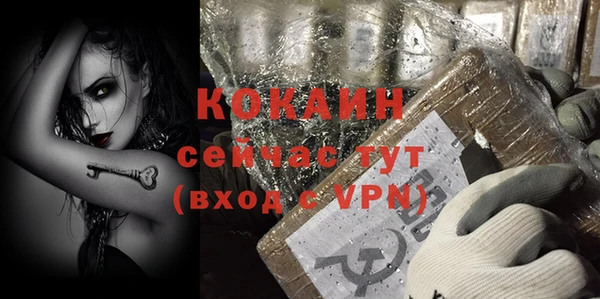 шишки Кукмор