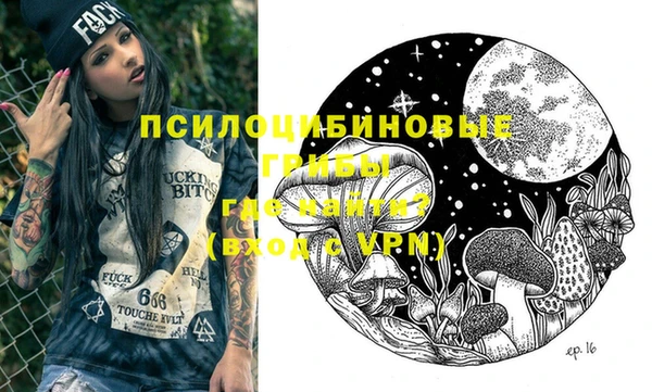 шишки Кукмор