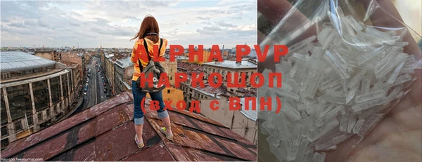 шишки Кукмор