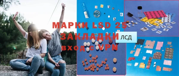 прущие грибы Кулебаки