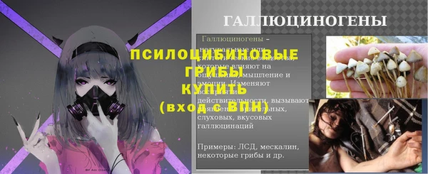шишки Кукмор